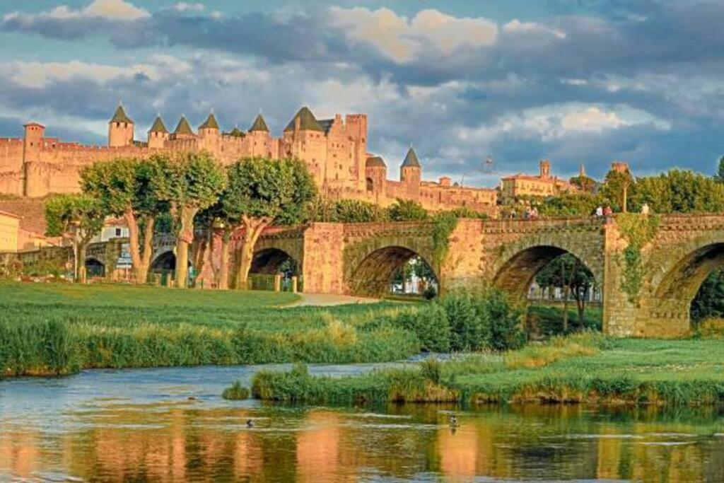 Chez Micka Daire Carcassonne Dış mekan fotoğraf
