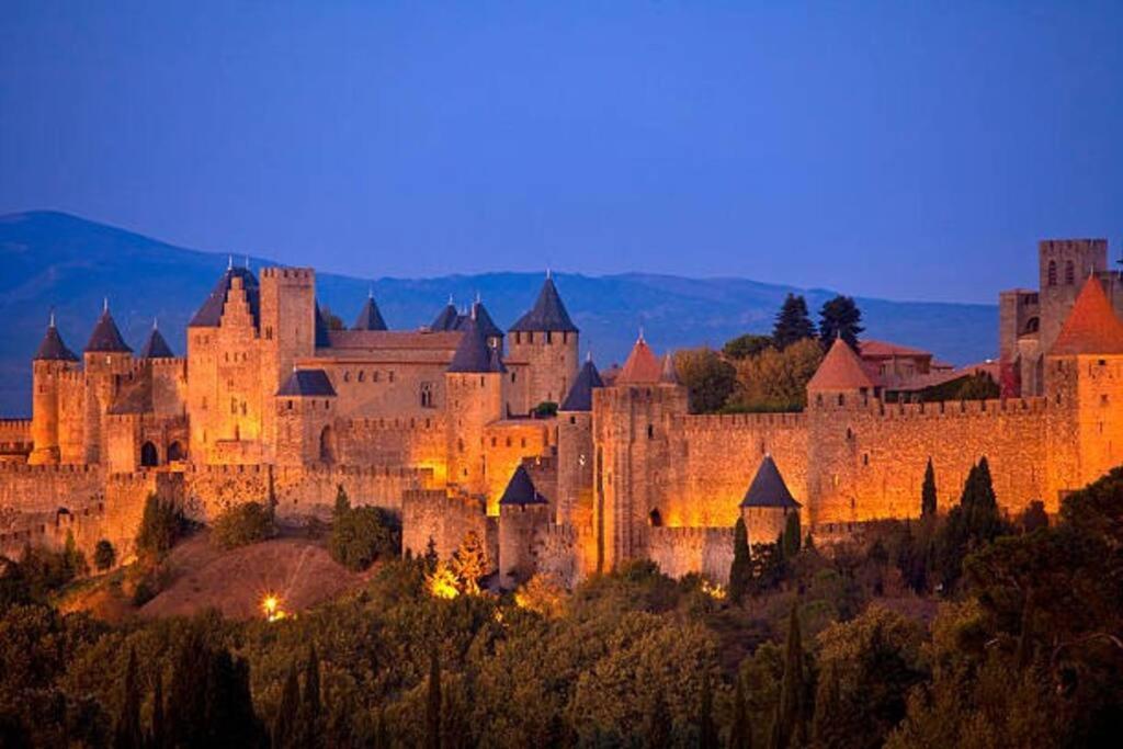Chez Micka Daire Carcassonne Dış mekan fotoğraf